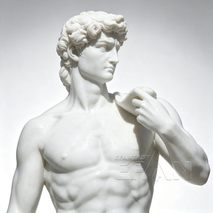 Marble Michelangelo's David Replica Statue for Estate Gardens