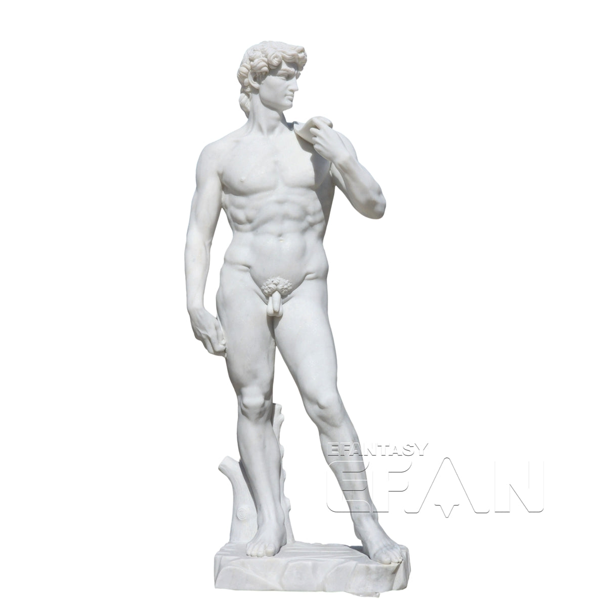 Marble Michelangelo's David Replica Statue for Estate Gardens