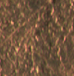 Bronze Brown
