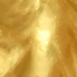 Golden Bronze